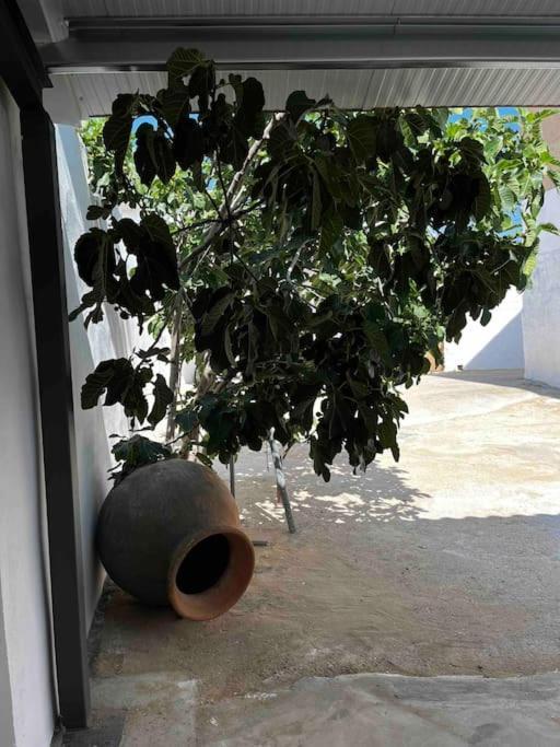 Вилла Agradable Casa Con Chimenea Interior Y Barbacoa. Граха-де-Иньеста Экстерьер фото